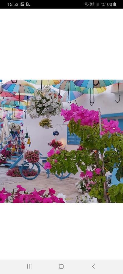 Duru Butik Otel Bodrum Exterior foto